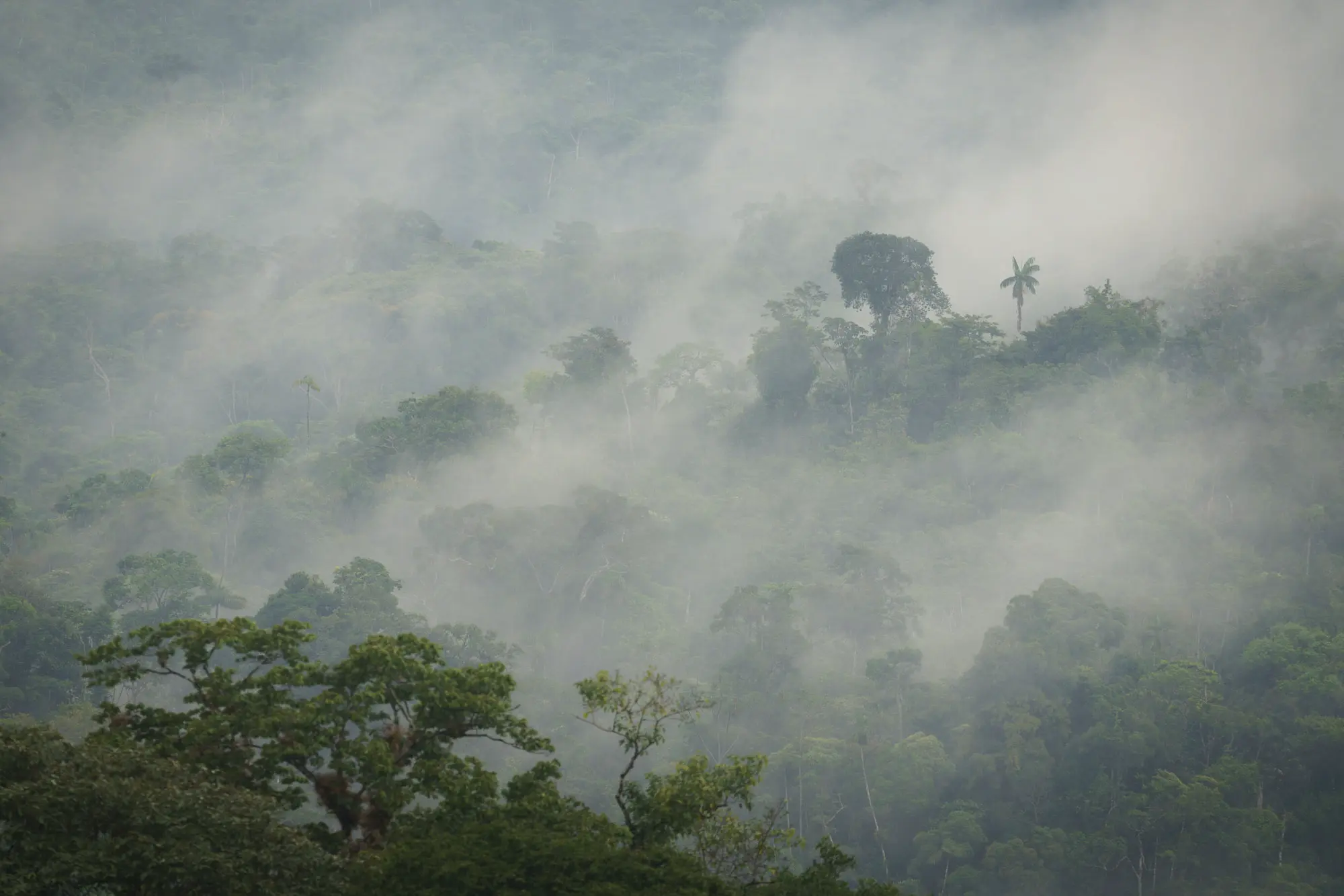 Imagen Expedición Ecuador 2026