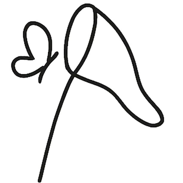 Cazamariposas decorativo